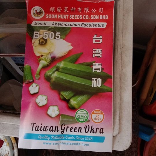 https://i.postimg.cc/pLSqf1SX/okra-lady-fingers.jpg