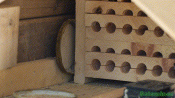 masonpeakinsidepart1.gif