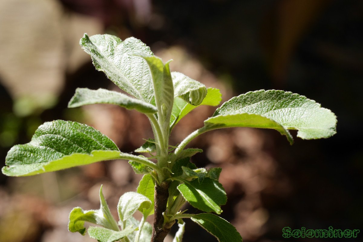 rw-1060979.jpg
