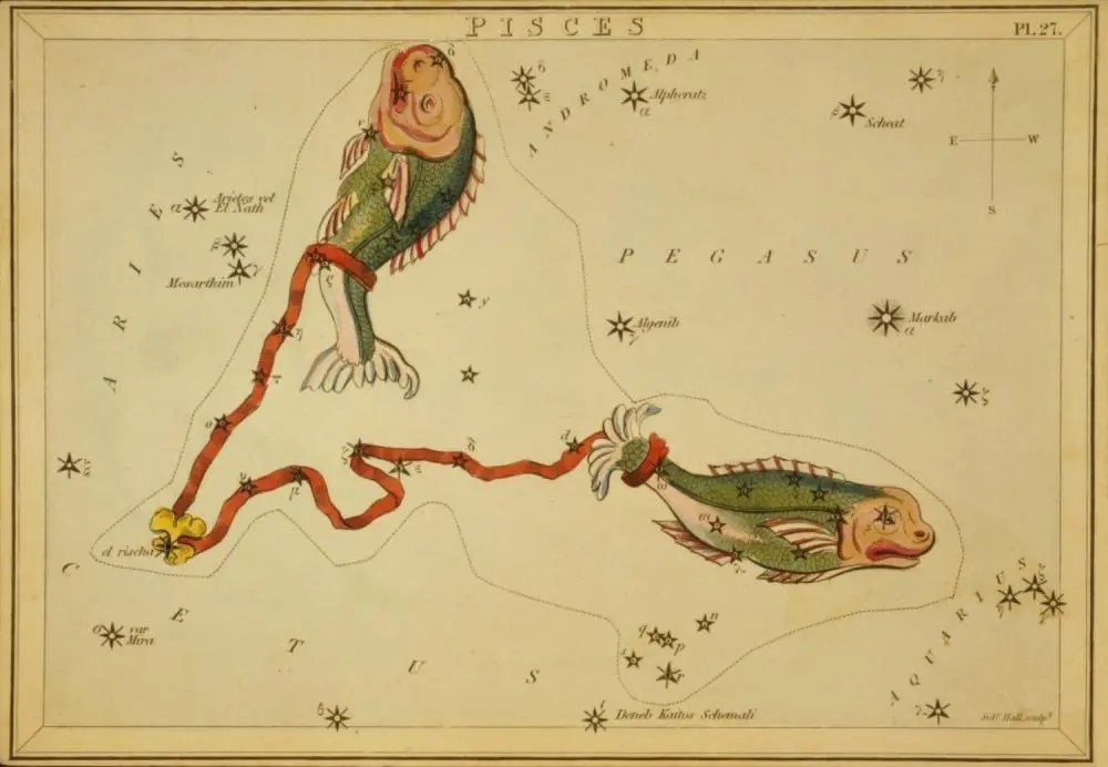 https://i0.wp.com/astrologyking.com/wp-content/uploads/constellation-pisces.jpg?ssl=1
