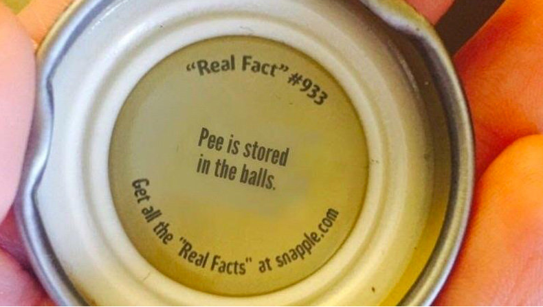 https://image.ibb.co/ejdSzG/snapple_fact.png
