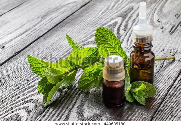https://image.shutterstock.com/image-photo/mint-essential-oil-small-brown-600w-440685130.jpg