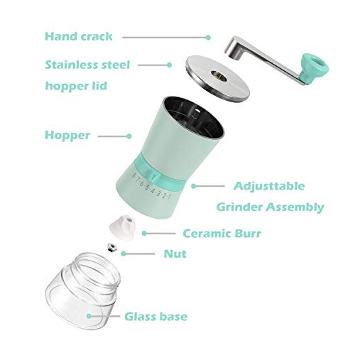 1 CoffeeMate Grinder - 15 Adjustable Grinds and Complimentary Lid