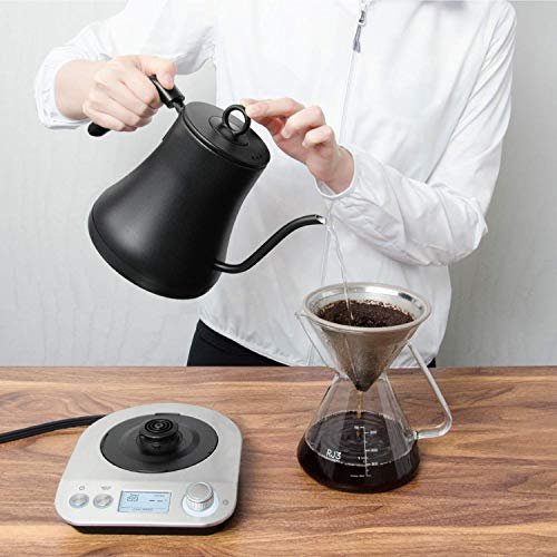 4 Electric Pour Over Kettle with Temperature Control - Hot Water Kettle with Gooseneck Design