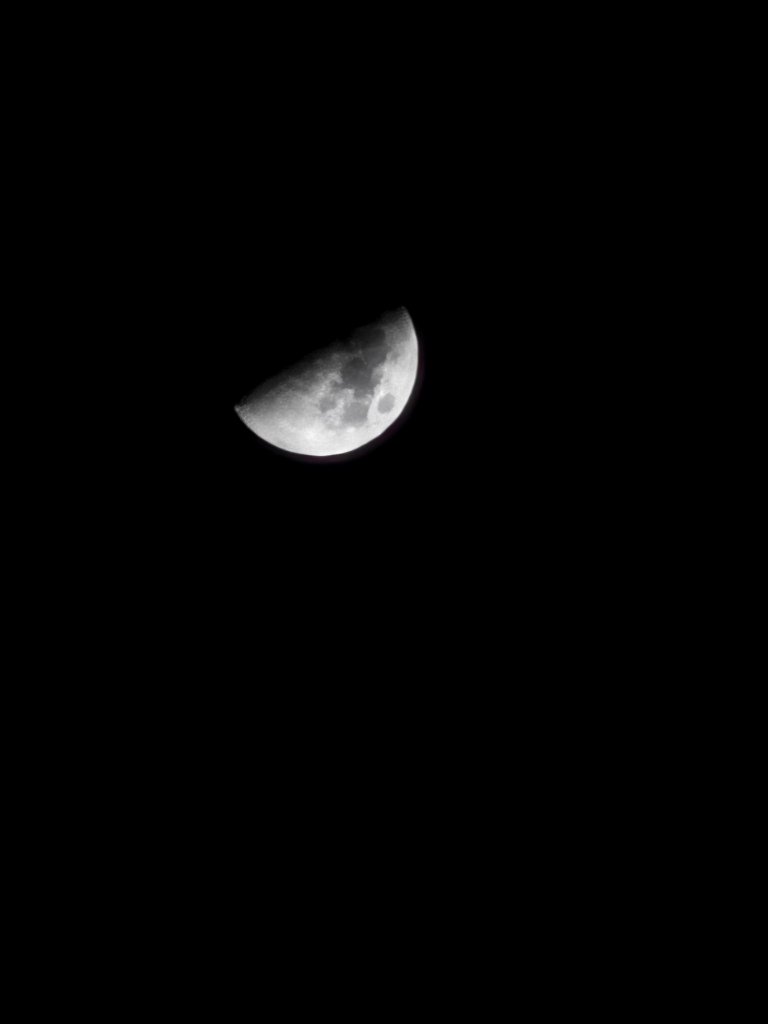 A half moon was out tonight. After all these years,  my phone finally takes good ...