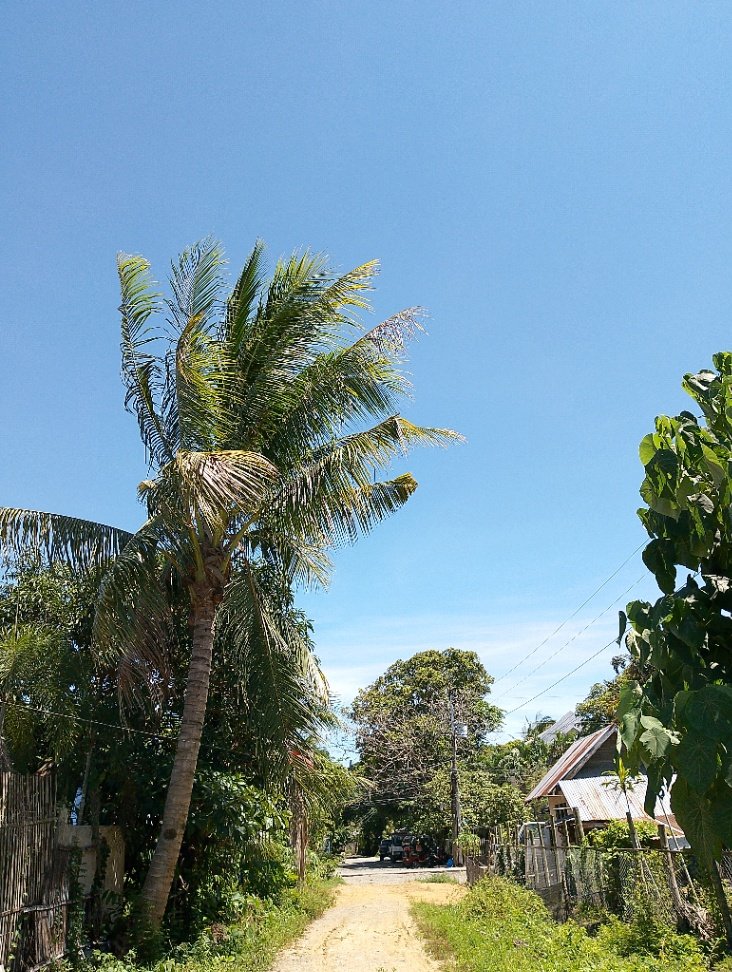A beautiful summer scene from outside our house so peaceful and ...