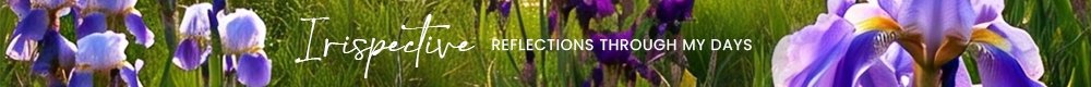 https://images.ecency.com/DQmNQZr8hd1cNimCCUVYvsaoPbvepKeXjFxpUY6Akyp1UCx/1748879930237.jpg