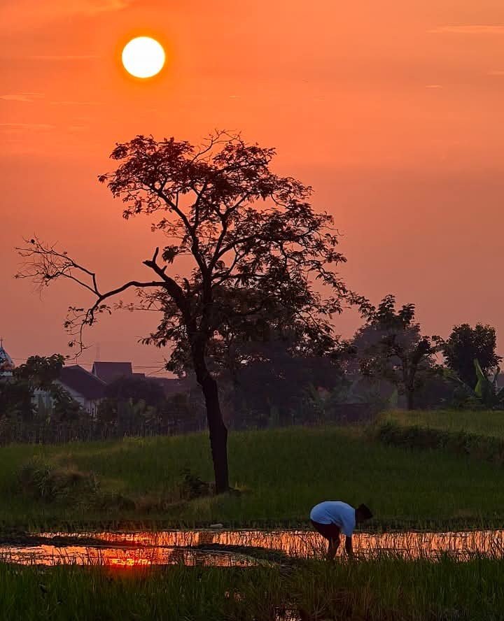 https://images.ecency.com/DQmNSyNo6svVcN3KvVS1hxjzGnRk3rqtBJ2hKFrPwwNZ8GM/1749715170085.jpg