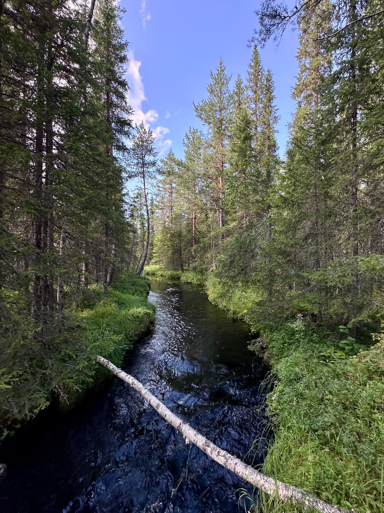 https://images.ecency.com/DQmNX6Q8PcQRaWPozJSybP1dDMvRgzsxXtHyiQkZsYUViv7/img_6892.jpeg