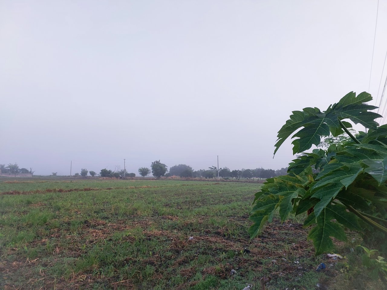 https://images.ecency.com/DQmNc5jf6EPhF9REa8BwAVGbRqxkiKZJgeZD95kaxY35dxG/20230623_054451_1_.jpg