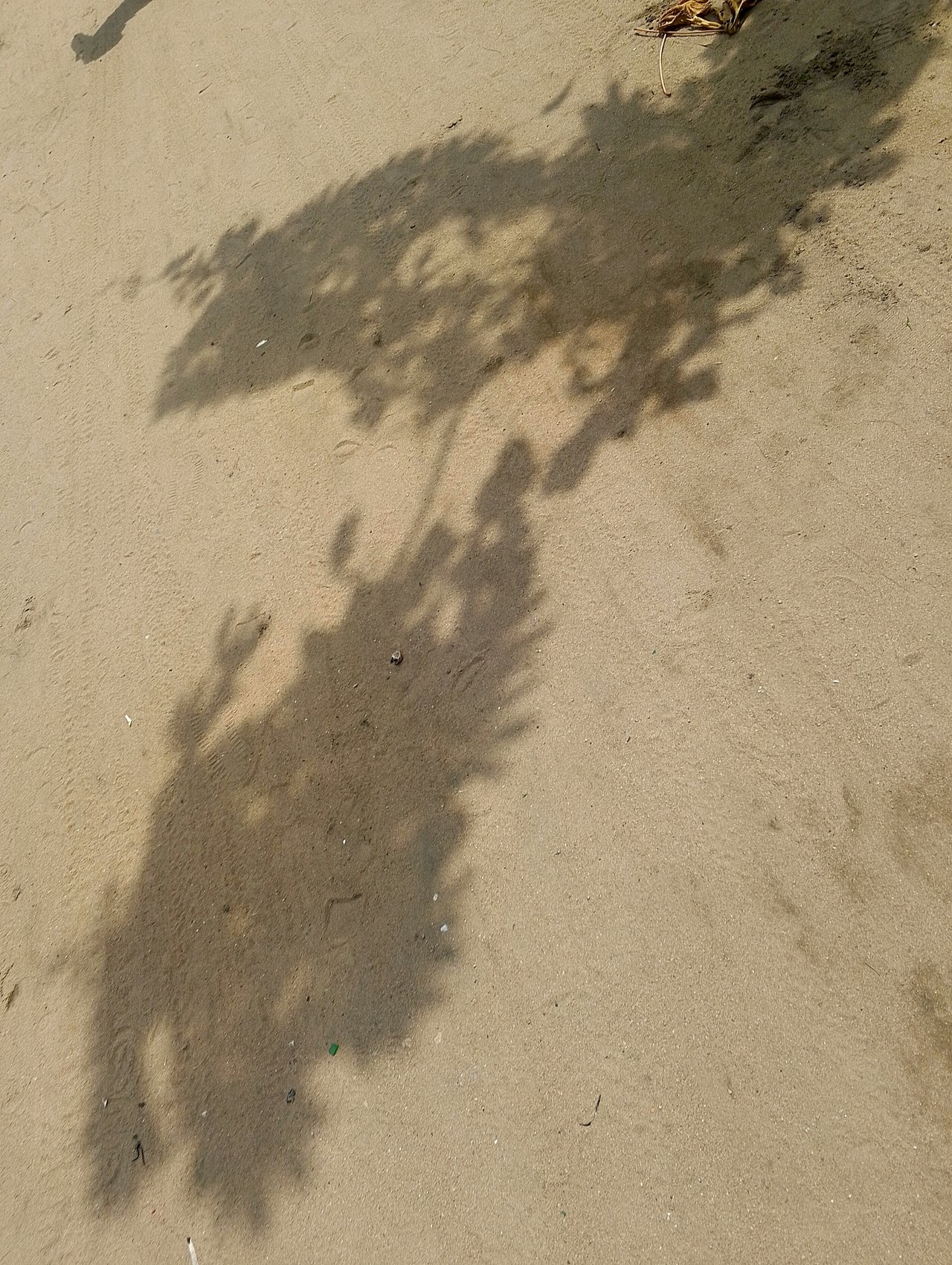 https://images.ecency.com/DQmNeTBkcBV3tQBjD76BKVfwxwWVwDMVPZGfUWJ85rsHVAx/1732287922963.jpg