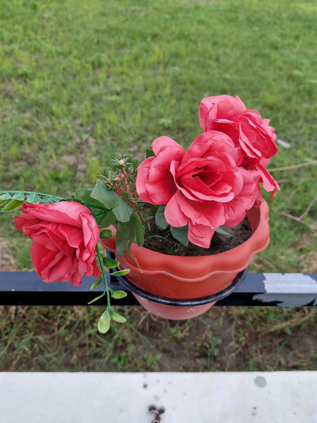 https://images.ecency.com/DQmNg5scNHBBMGwWeWoKBQrRB71fkEhLJtcaB44YsjPaJtC/1751425202637.jpg