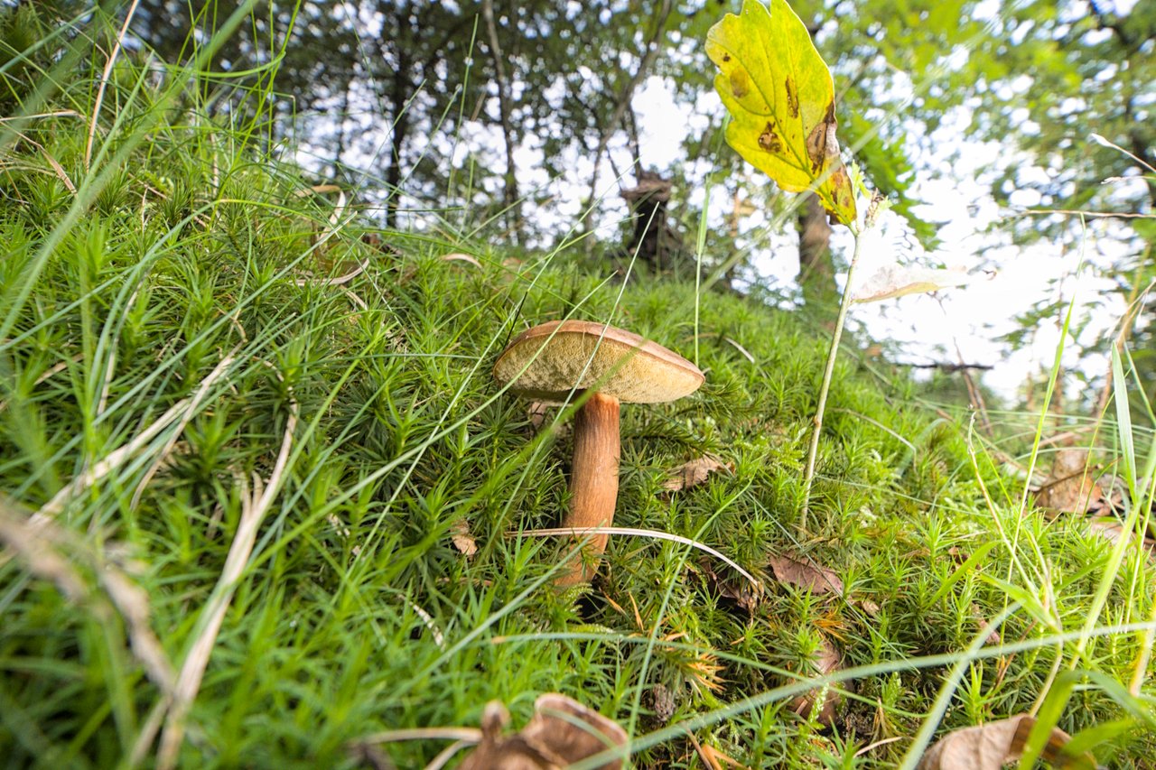 https://images.ecency.com/DQmNgJoVKgahP945o6ty79YR5CiJP8WtpmASqfnCdM4Fcc9/a7403868.jpg