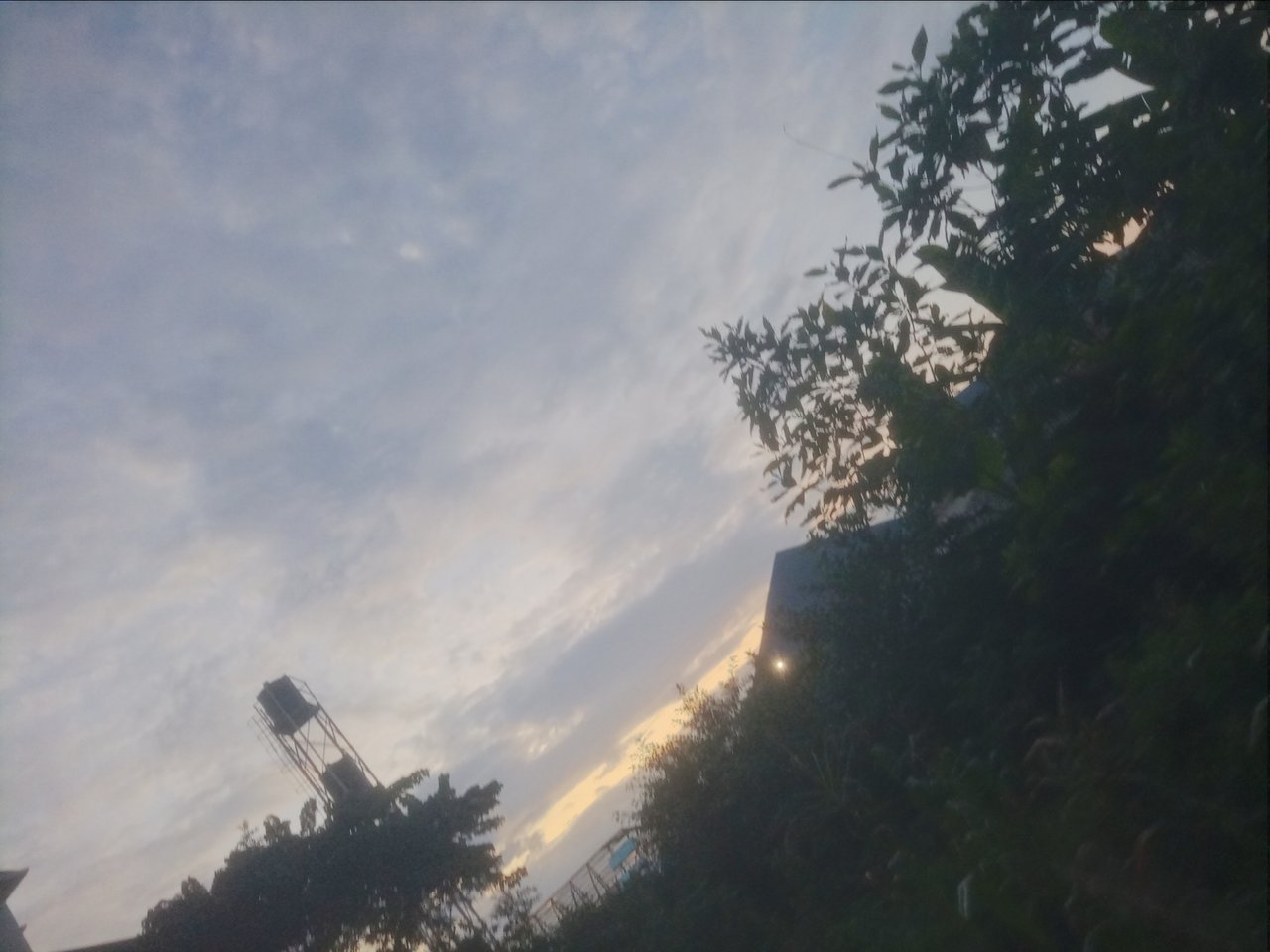 https://images.ecency.com/DQmNhLM2oAoU3D2owRLLMVXJ9sEfqYAVFdoAsh47ZygxWYF/1750680635796.jpg