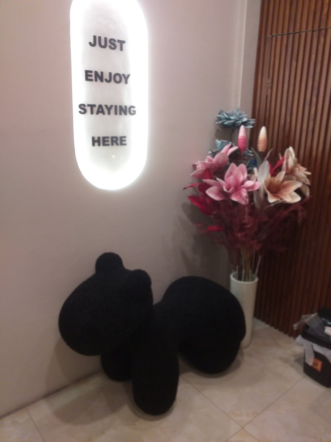 https://images.ecency.com/DQmNhdchPXiPbk5bmq5GRG3shNa5R75osqM8z2xh1JNuFNh/1750261694356.jpg
