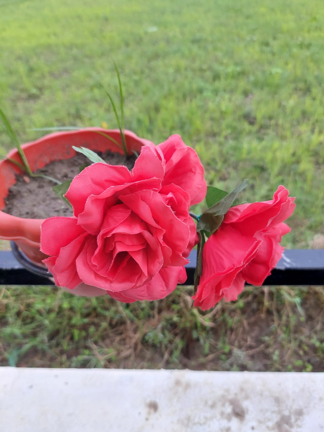 https://images.ecency.com/DQmNiqbqUXGfTwxkDC26C65Bj7coyZxGF6wUsWZxd7iK1Eq/1751425202235.jpg