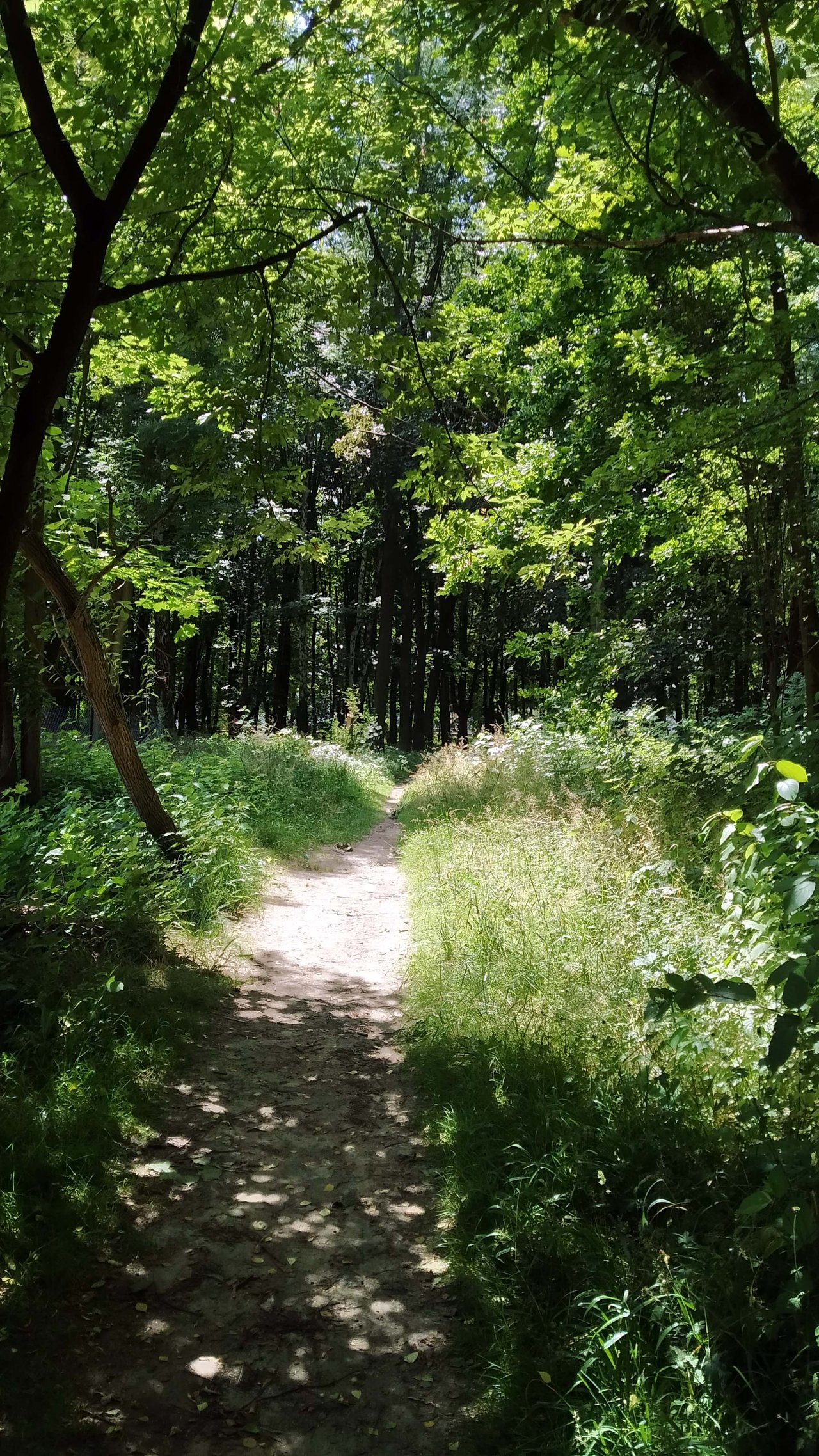 https://images.ecency.com/DQmNjNVJvbdzAcEuBUqS39x43ngKKN6p4jCHLx4Zk5BE2Q6/a05b.jpg