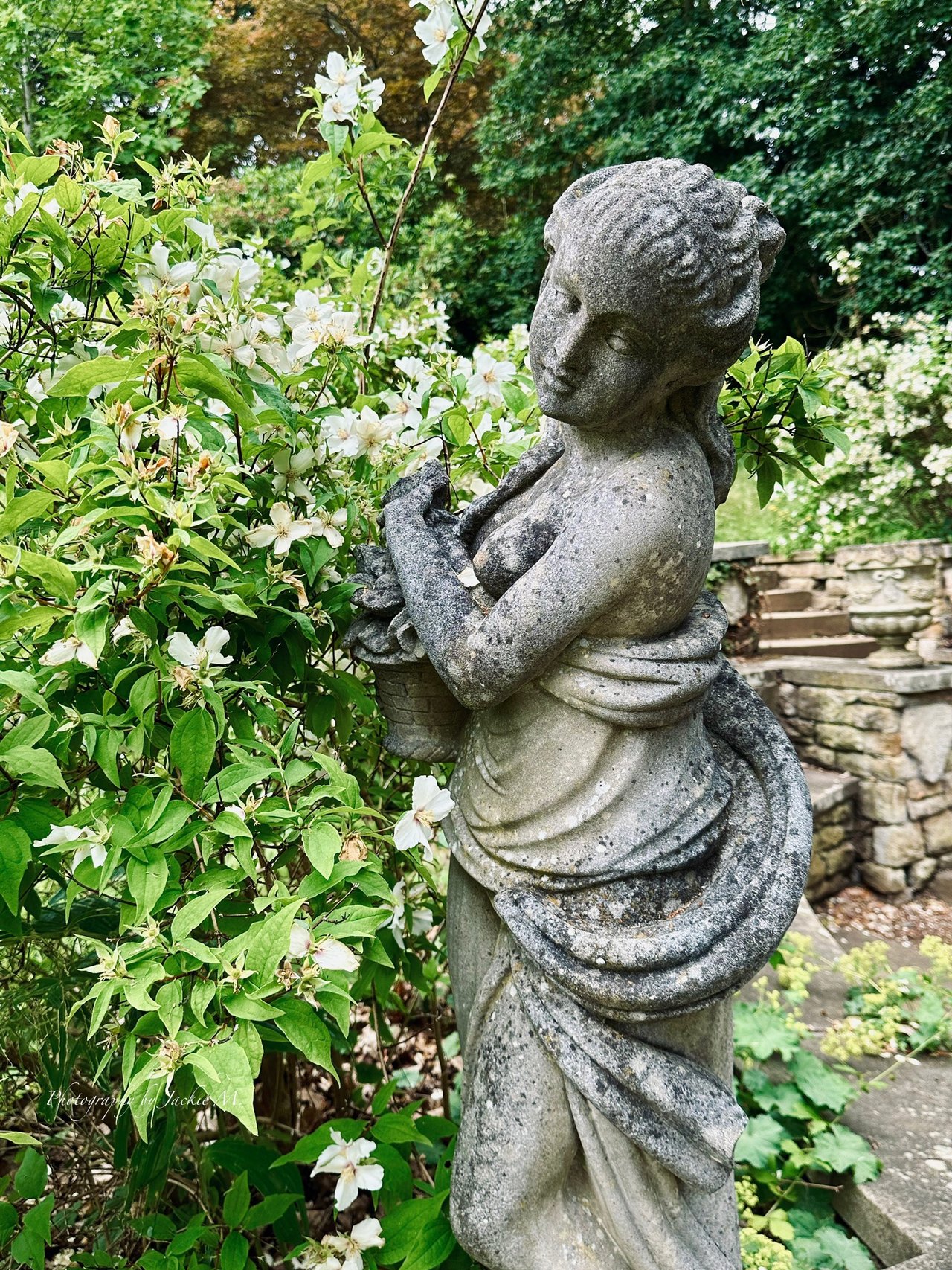 https://images.ecency.com/DQmNrgjfHrY7SZfHHGFswi5JXcGis5a5ufhiCMnBABJkC9K/img_5590.jpeg