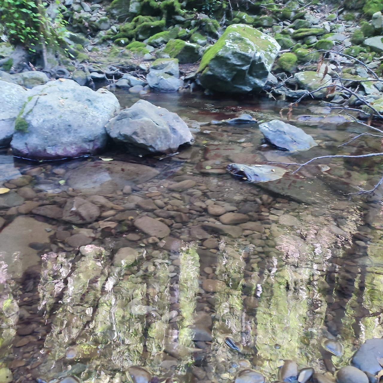 https://images.ecency.com/DQmNsxG2XHCtJgwXdhKTzGXM1hBweSwGS28nPBBzZaGWCPx/1756573060303.jpg