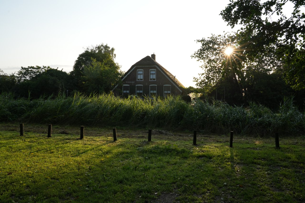 https://images.ecency.com/DQmNusWx5NJLPbtB8PzYUsKVaLJtHNipEmhcddTFoaAfgfg/a7402933.jpg