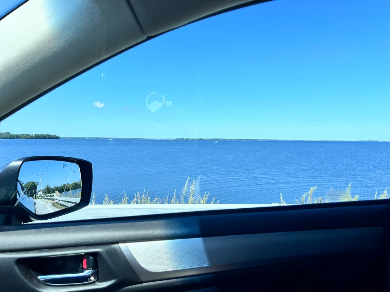 https://images.ecency.com/DQmPFFFf6Yc9iRSjacpFbVjKikH7uV8VqnfuRVv7iqyB8R6/img_7398.jpeg
