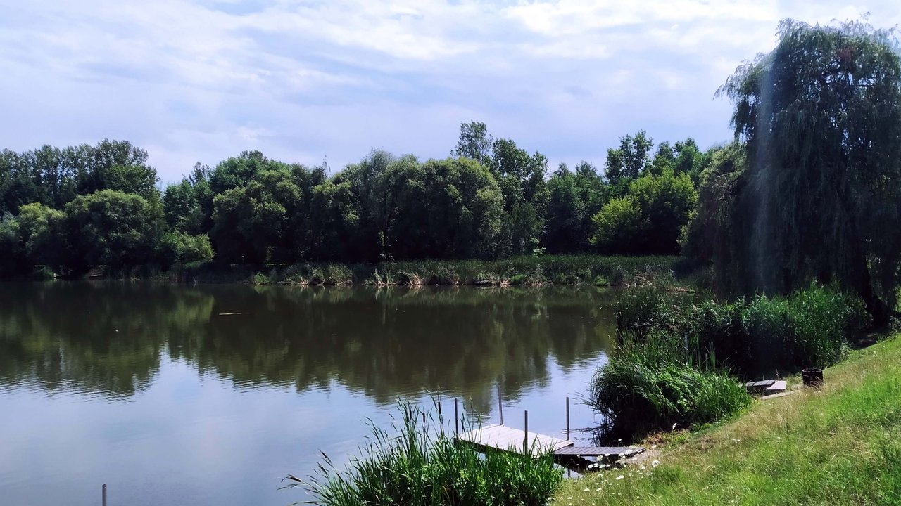 https://images.ecency.com/DQmPG2SSJVyvim46NFYk9gQUNU438QtRXnyuvfQRxAX7JQU/ac02.jpg