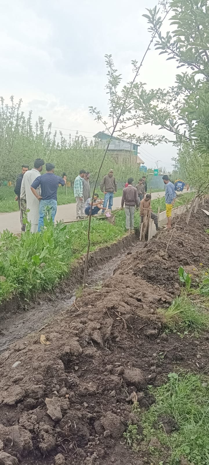 https://images.ecency.com/DQmPHv3myUPrnysbi1UEBXDciZHugBiQjQudtJdGPo9UPnG/1748316136521.jpg