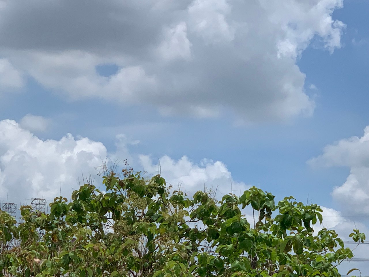 https://images.ecency.com/DQmPJHyJYCQy9d9bgExsHiwWEvq6TtVW7voHq3UyNN9zqBr/clouds11.jpg