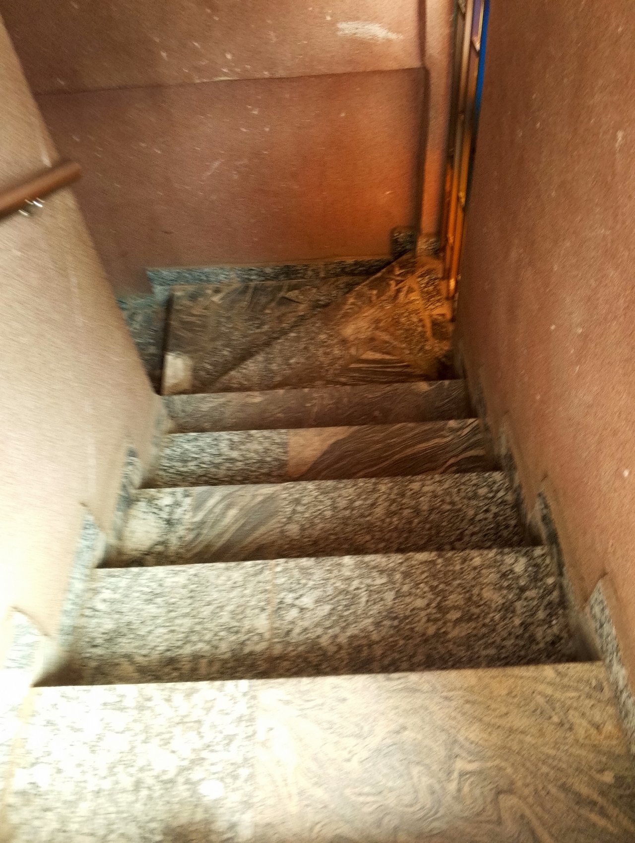 https://images.ecency.com/DQmPSQ9NSq4YuXX3AJqMRwyqLbV9fjgHD5iPxJVqPnTbELC/1749270132566.jpg