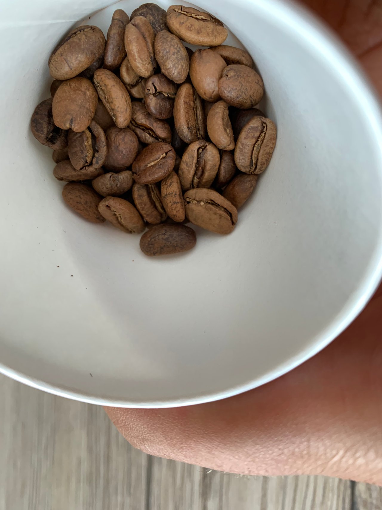 https://images.ecency.com/DQmPWRAmVtvGyGDuqGHjTKMJ7pXxLLdJJftmgwn6fTMSDDd/img_1421.jpg
