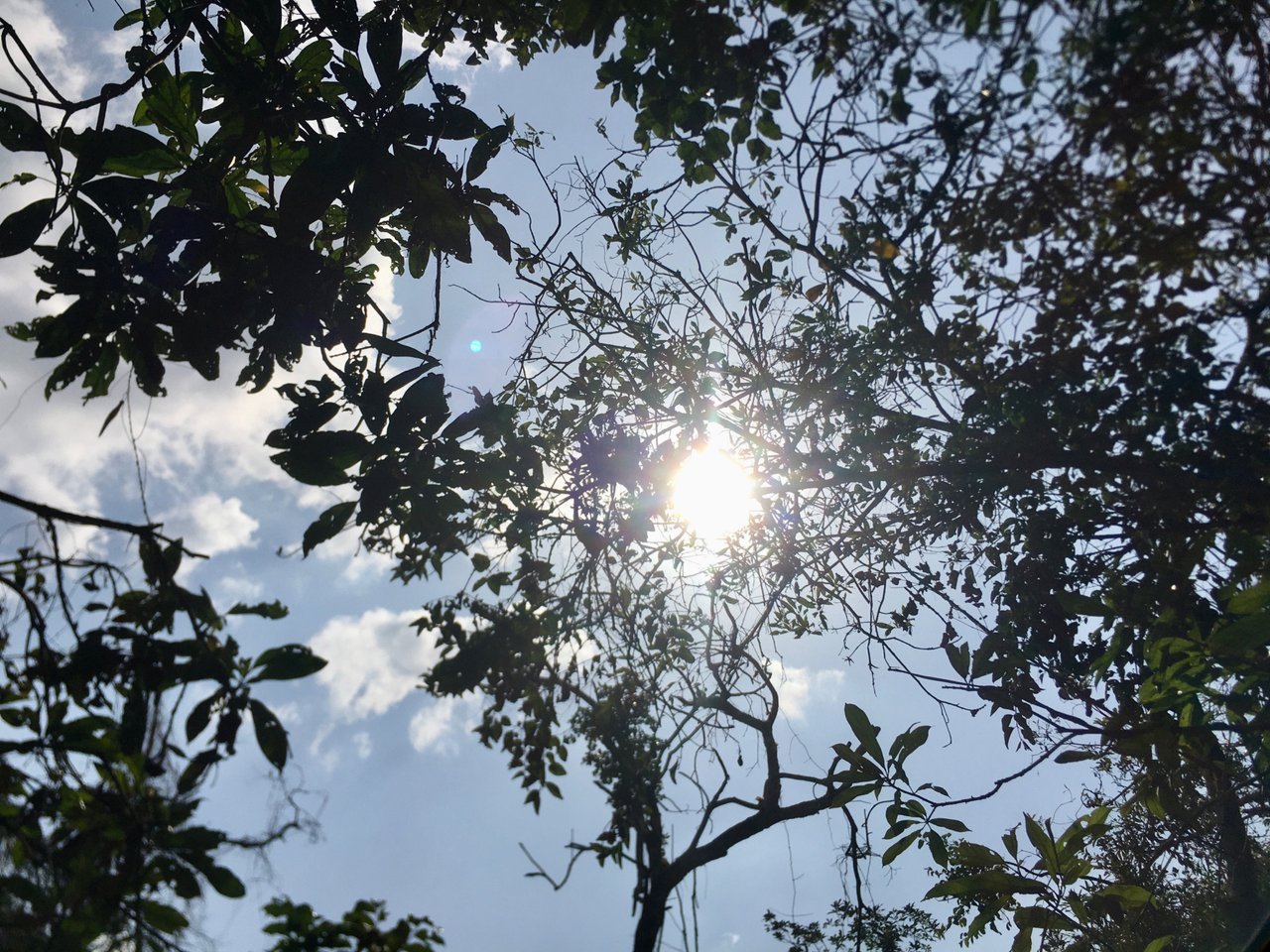 https://images.ecency.com/DQmPWZazbqFXVEv7fh3a2CRmm2kr8zK8rJinTTZ93hBfJa9/1720817740189.jpg