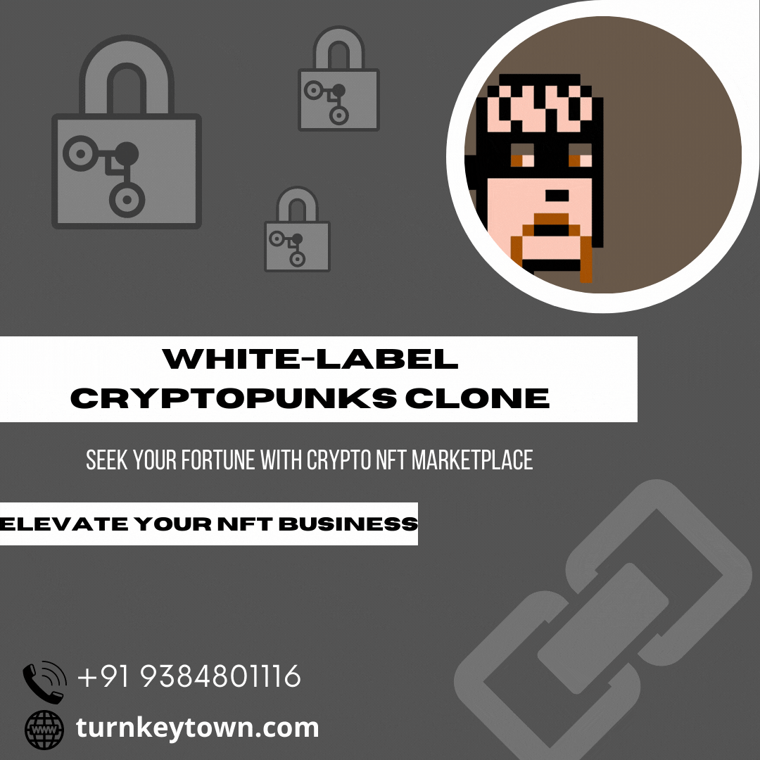 white_label_cryptopunks_clone.gif