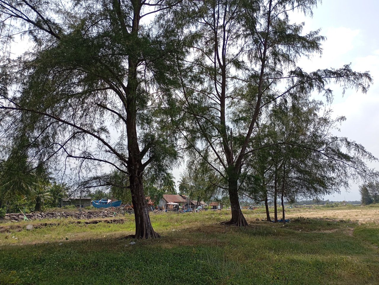 https://images.ecency.com/DQmQ3pjPQRwEcRZRsS9o4TWWqEzsWgaHUw94fpL7SkcJtsU/1000751066.jpg
