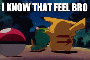 i_know_that_feel_bro_pokemon.gif