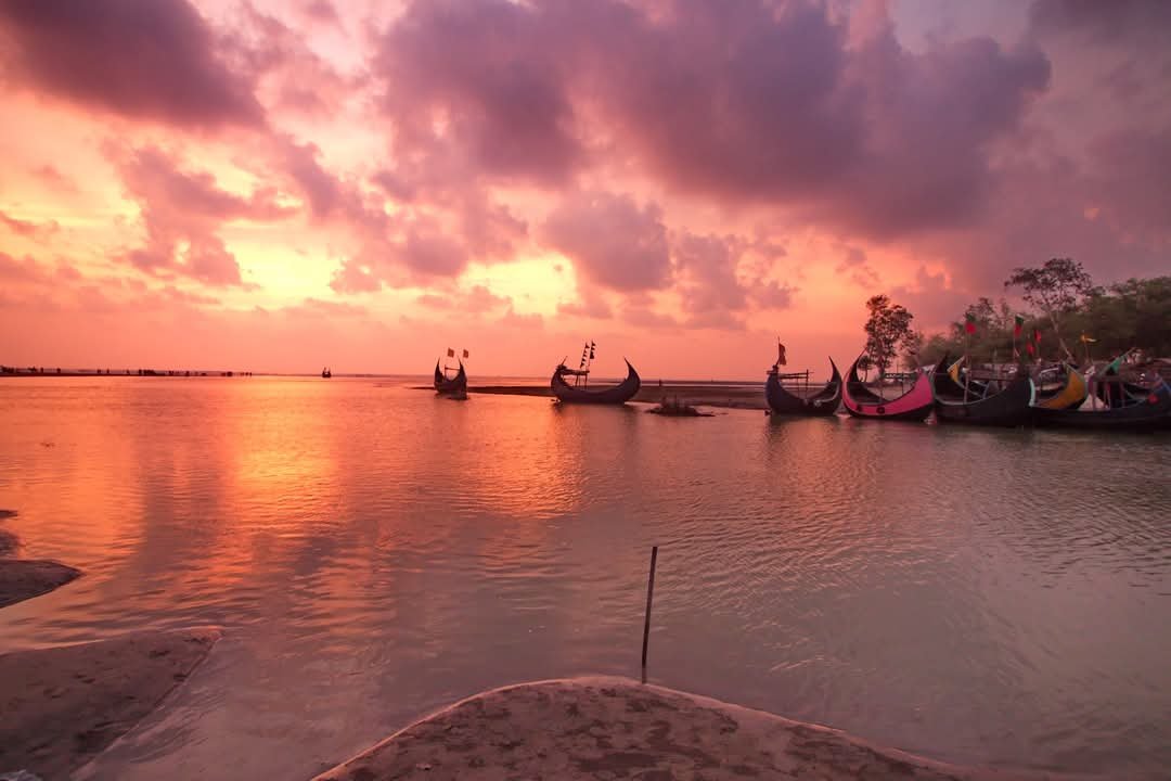 https://images.ecency.com/DQmQD3jpAb4zj67KJsoJWVnymqCsyd2rJN1gHRR3cB4DsZE/1749715170045.jpg