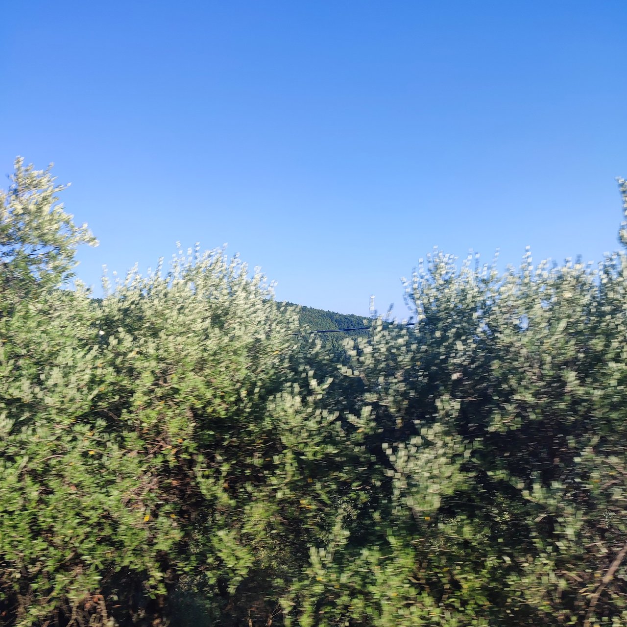 https://images.ecency.com/DQmQDhpWUVPtuLunWkmwfbFriRnv6g5CFnMMLzGUNG2mf3V/1756573062664.jpg