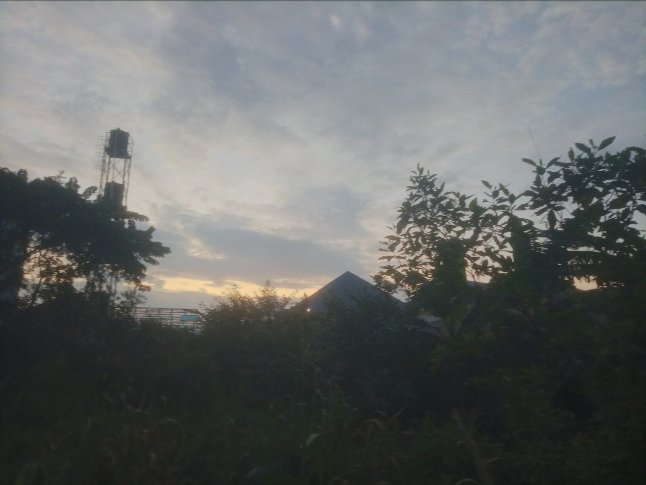 https://images.ecency.com/DQmQc6aq7kSqZBR63CGhGS1CvDHmCCrSwyCbeKFu6mKwQZv/1750680636196.jpg