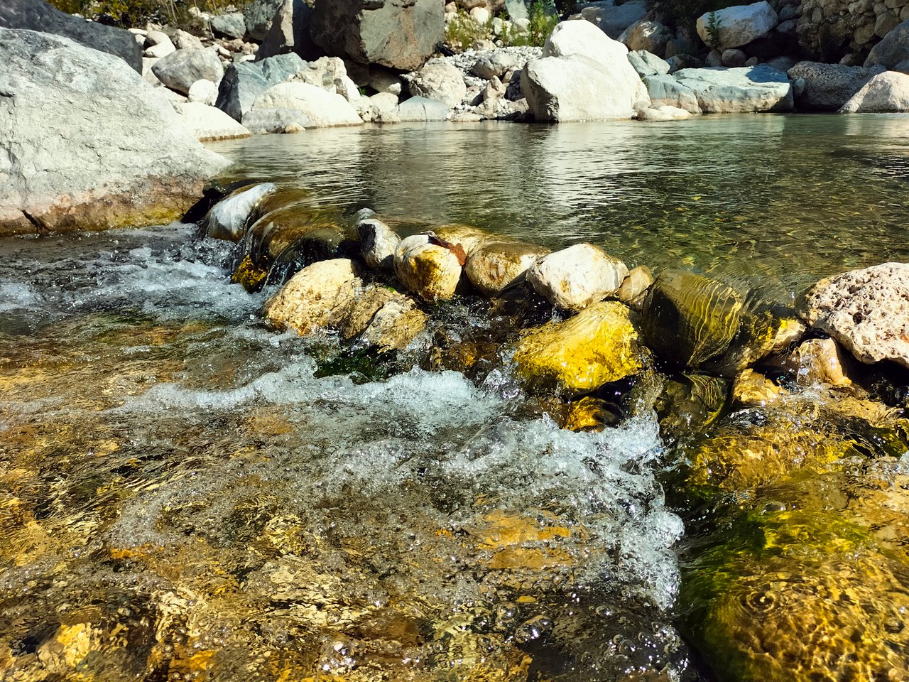 https://images.ecency.com/DQmQeq1PFWHipsHbmbP1VDCWgMbHNqdVw5hWxPmXdYWbFyH/img20241005143727.jpg