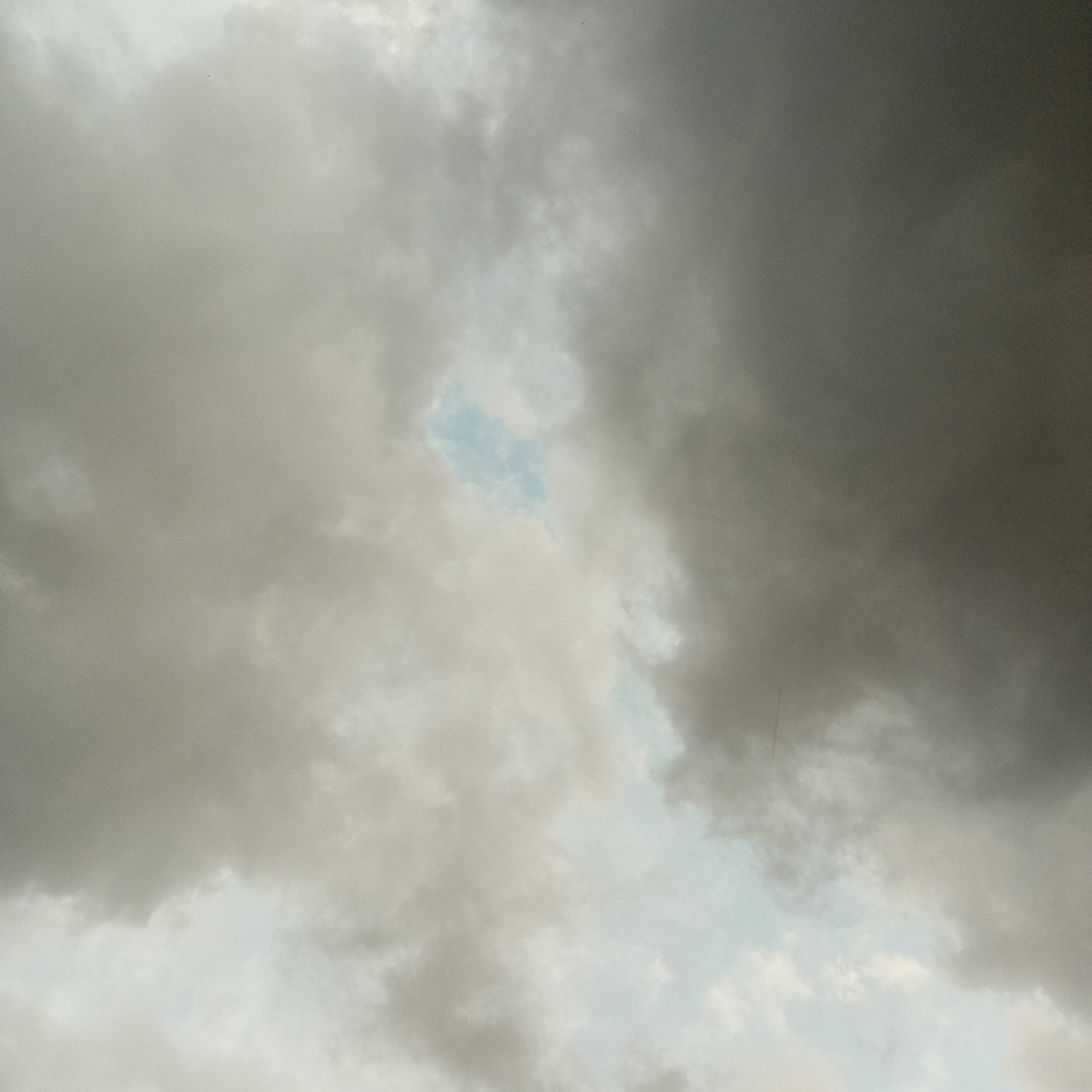 https://images.ecency.com/DQmQiUvC2gFnnvgqg5PkbM1Wx1Pb8M9pTiyh9rwDMn3Mvx3/1751018678340.jpg