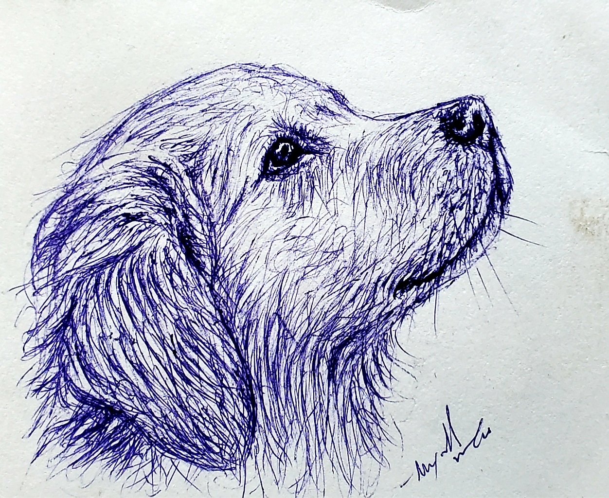 https://images.ecency.com/DQmQkuW9bnJRGdVRiHSuxL3DymQHdzUpmRBPZADMcRTsPTR/1739345350604.jpg