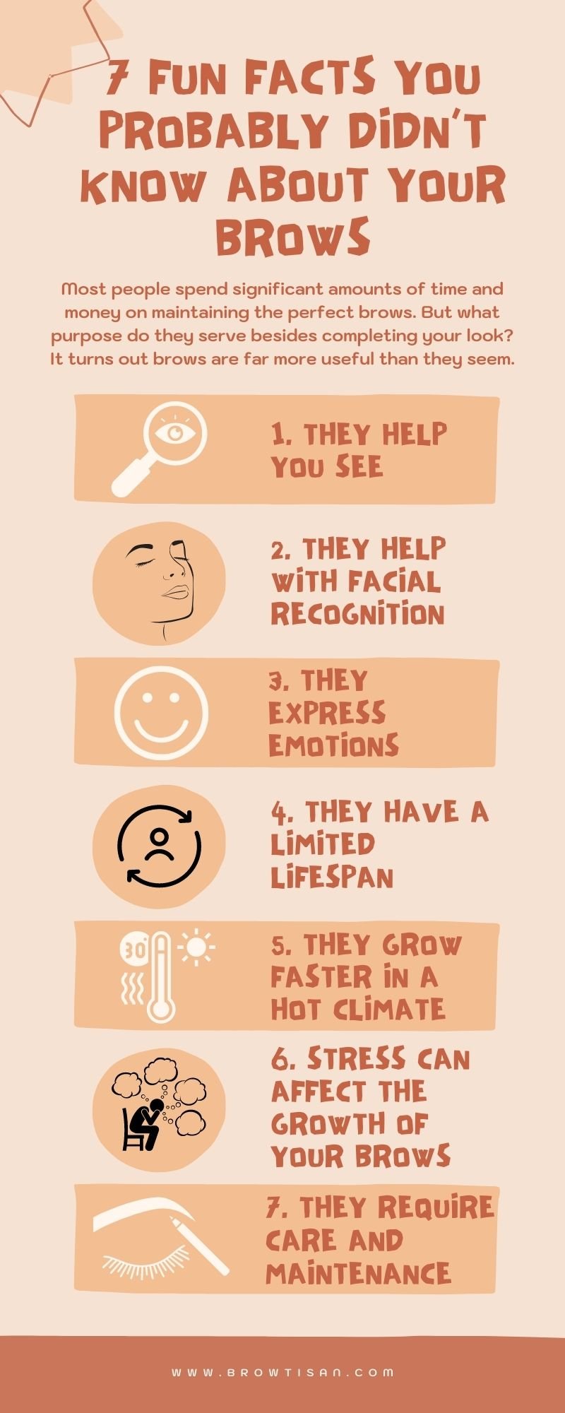 https://images.ecency.com/DQmQo32xeFetQj6oQ1wuANVyNpeBU4G6cJ5Hzfqac7od4YM/7_fun_facts_you_probably_didn_t_know_about_your_brows.jpg