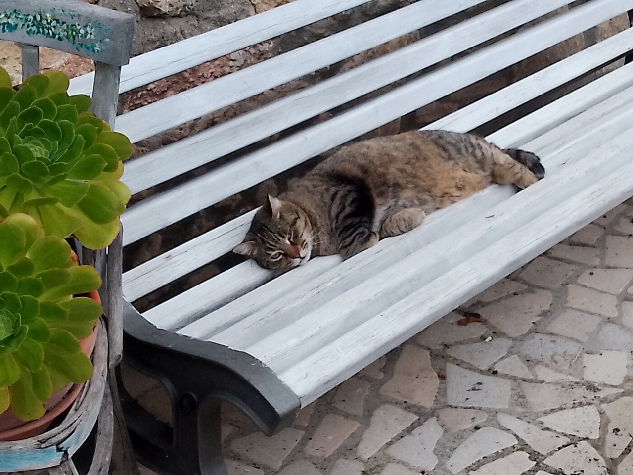 https://images.ecency.com/DQmR2hfRudHn93upc5gUwJsxmb4QESLJapmA8NysB2GLTBn/1741879739917.jpg