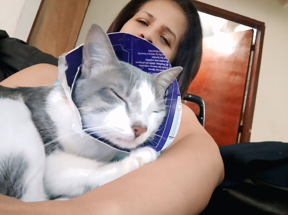 We sterilized Simba Raspicuim (En/ Es)
