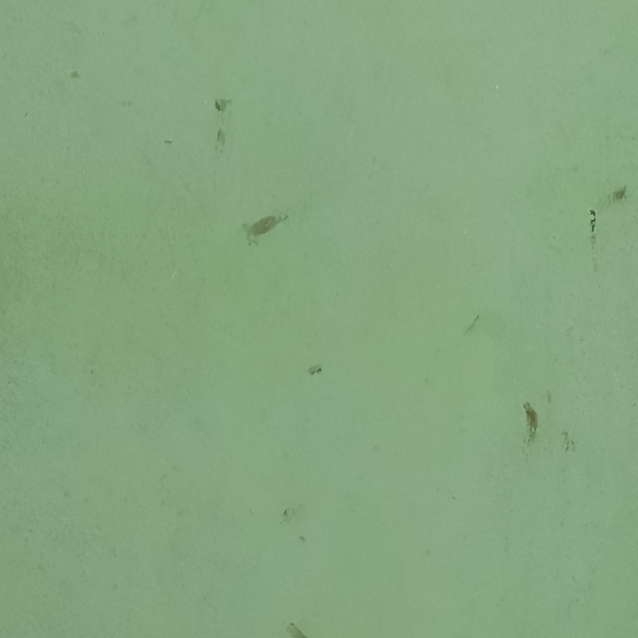 https://images.ecency.com/DQmRJgoPZBYyuK3d1MMi214cniAZJ3mmbosyY3PtodLYQTW/1738072575430.jpg