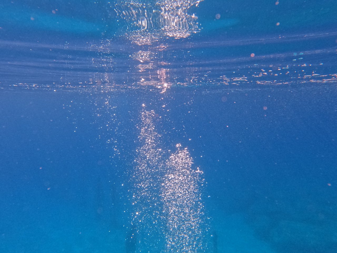 https://images.ecency.com/DQmRSvBeETLWYowuZAUgitChpJKvSE2tJvoGjoddxdg86VU/gopr0947.jpg