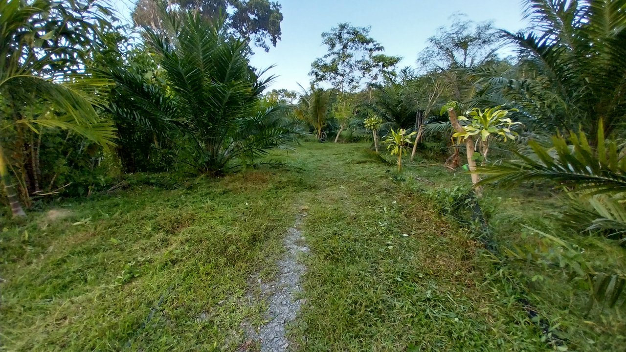https://images.ecency.com/DQmRZNZCgp2utgENWKn6Ag7x5xDg5iKdBUwFNFgv5h3qmbV/1746085400968.jpg