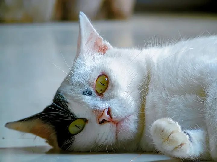 https://images.ecency.com/DQmRaCJecDRxPQeW9tWNWAFkmCVH2sjUFZP7n762B6QRMrx/1749833468222.jpg