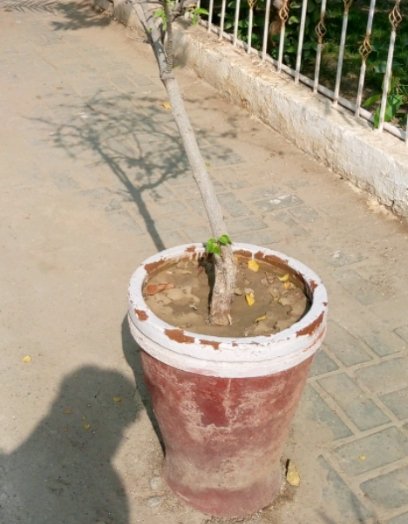 https://images.ecency.com/DQmReWJT8jNaXVM2AkjpkLf4WXSmtkeBrqQLBLguDKA2boF/1729908448594.jpg
