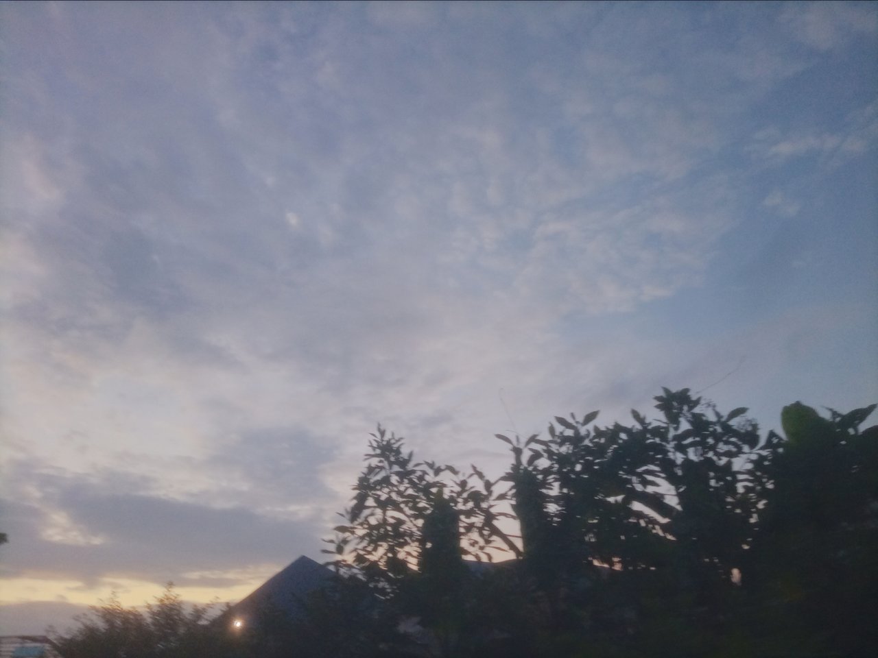 https://images.ecency.com/DQmRh4cPMJE1ZP4U1eSBjYQeHug1vsiuE4h9HpVNUSeWRyh/1750680635994.jpg