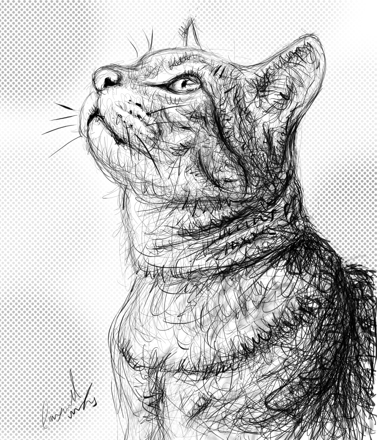 Cat - Digital Drawing 